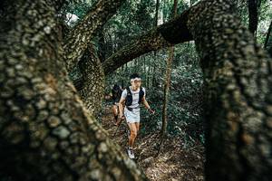 BIB: 
                            <button type="button" onclick="openModal(25392237)" class="btn btn-primary btn-sm float-right btn-popup" data-toggle="modal" data-target=".modal-high-quality">
                        <i class="fas fa-shopping-cart"></i> Add to Cart
                    </button>
                                            <button type="button" onclick="isThisMe(25392237, true)" class="btn btn-success btn-sm float-right btn-popup btn-isme hidden" data-toggle="tooltip" data-placement="bottom" title="นี่คือรูปของคุณใช่ไหม คลิกที่นี่เพื่อเอาเข้าอัลบั้ม">
                        <i class="fas fa-plus"></i> Add to album
                    </button>
                    <button type="button" onclick="isThisMe(25392237, false)" class="btn btn-warning btn-sm float-right btn-popup btn-isnotme hidden">
                        <i class="fas fa-ban"></i> Remove from album
                    </button>